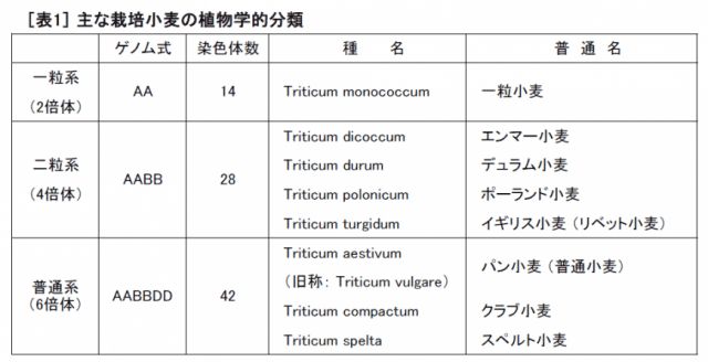 小麦粉の科学｜一般財団法人 製粉振興会